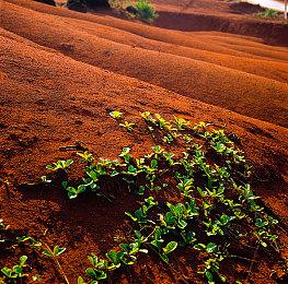 《三角洲行动》全球公测 Steam在线峰值超10万